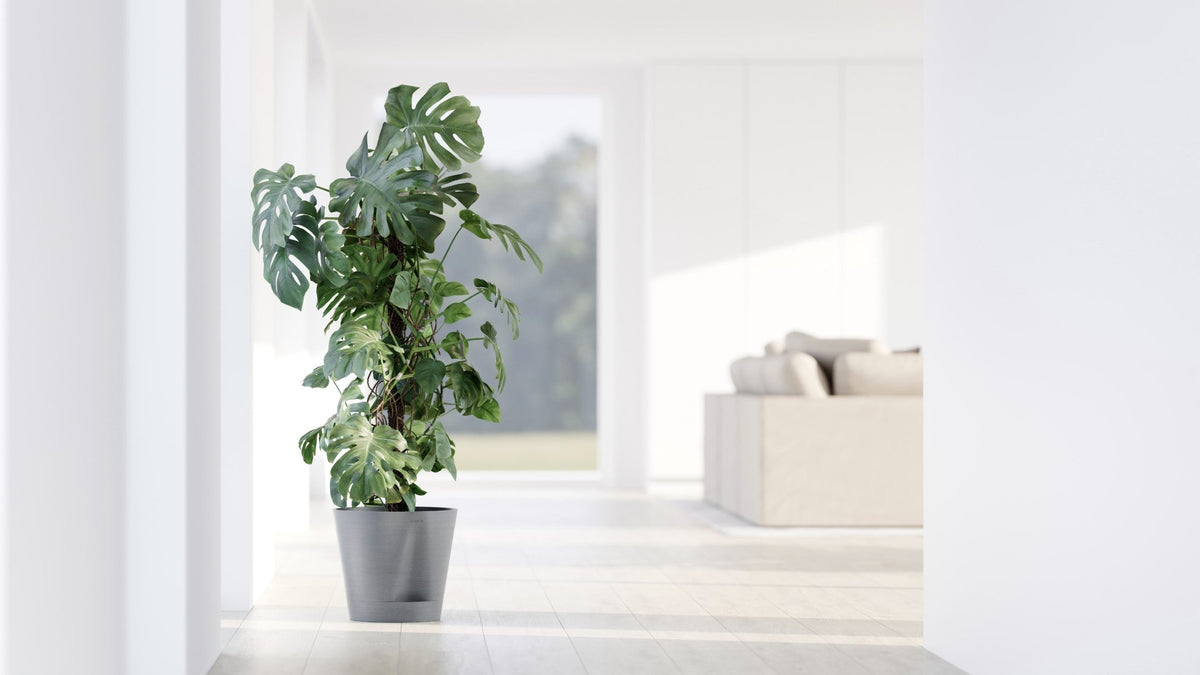 Kukkaruukku Venetsia 2.0 30cm siniharmaa – tunnelmakuva