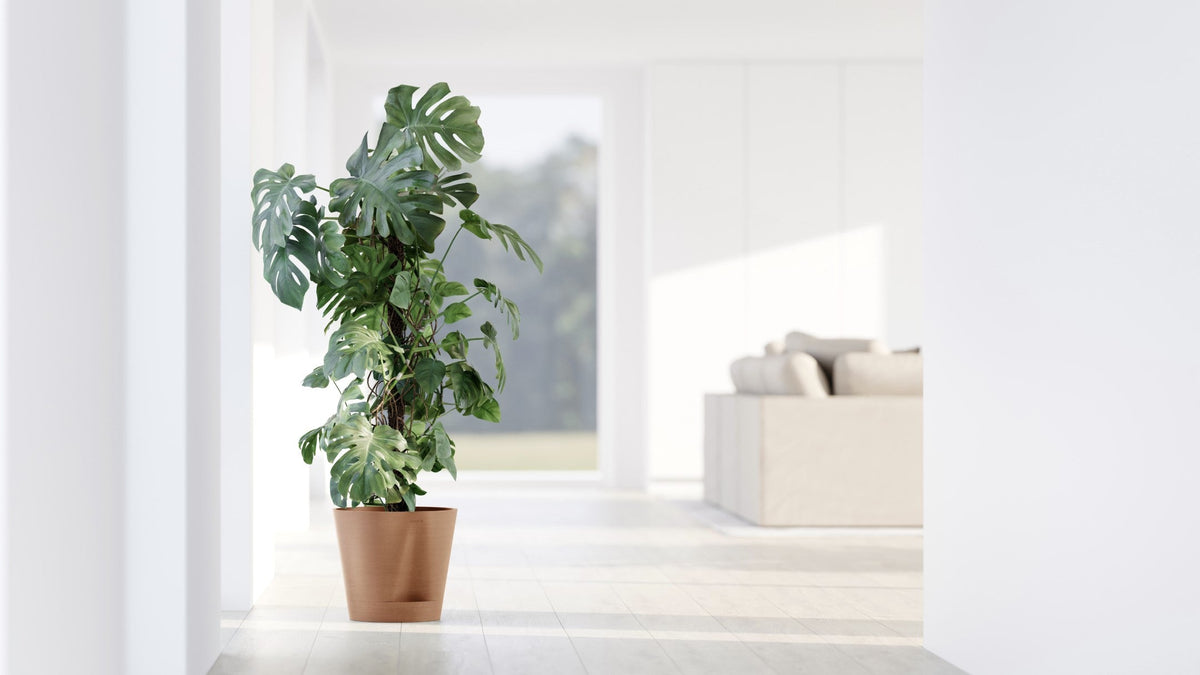 Kukkaruukku Venetsia 2.0 20cm terracotta – tunnelmakuva