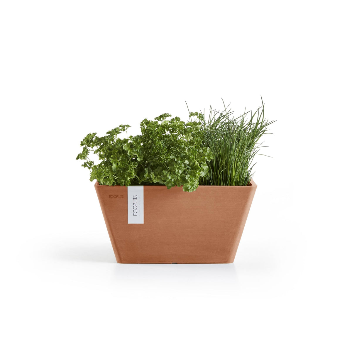 Kukkaruukku Berliini 30cm terracotta – kasvin kanssa