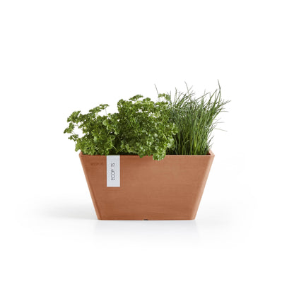 Kukkaruukku Berliini 30cm terracotta – kasvin kanssa