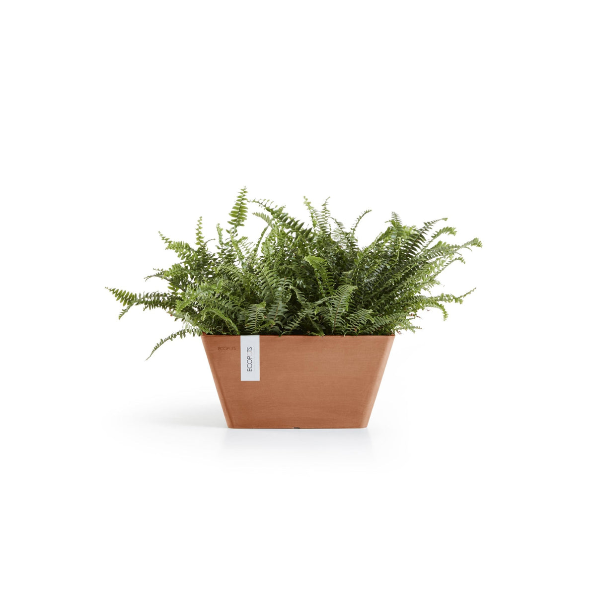 Kukkaruukku Berliini 30cm terracotta – kasvin kanssa 3
