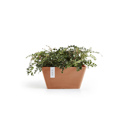 Kukkaruukku Berliini 30cm terracotta – kasvin kanssa 2