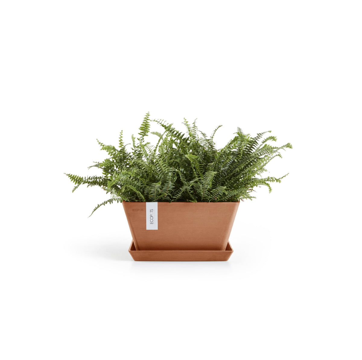 Kukkaruukku Berliini 30cm terracotta – aluslautasen ja kasvin kanssa 2