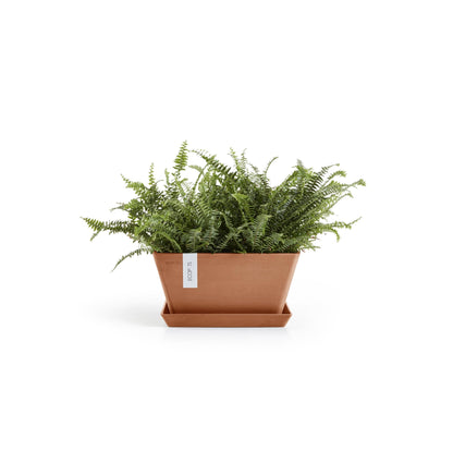 Kukkaruukku Berliini 30cm terracotta – aluslautasen ja kasvin kanssa 2