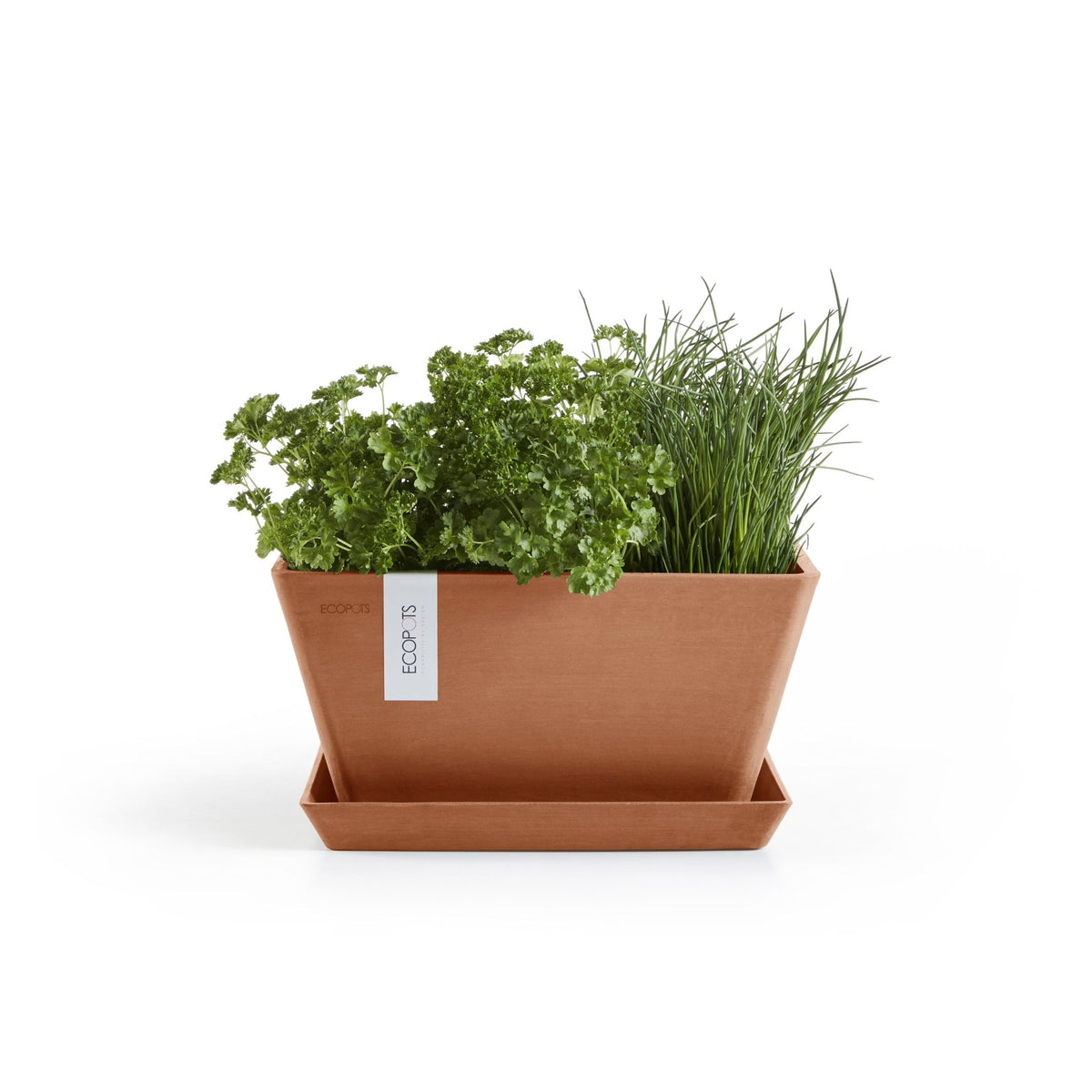 Kukkaruukku Berliini 30cm terracotta – aluslautasen ja kasvin kanssa 3