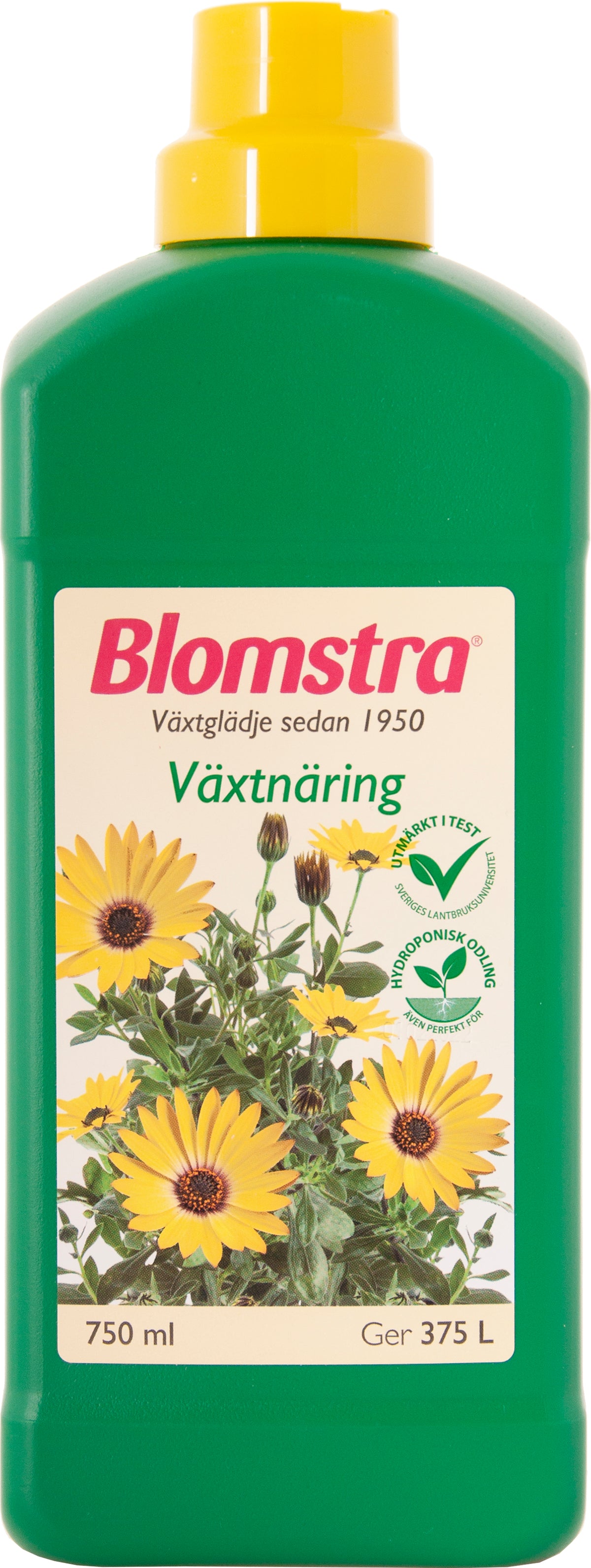 Tärkeät ravinteet optimaaliseen kasvuun