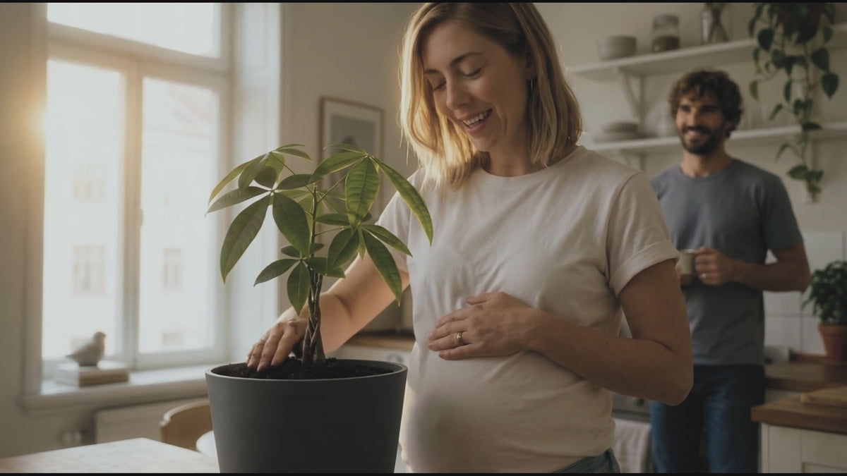 Ecopots