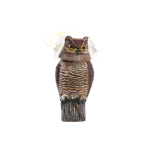 Scarecrow owl 