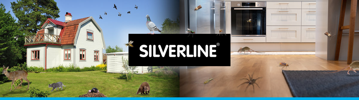 Silverline sisällä ja ulkona