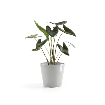 Lillepott Amsterdam 30cm valgehall veereservuaariga