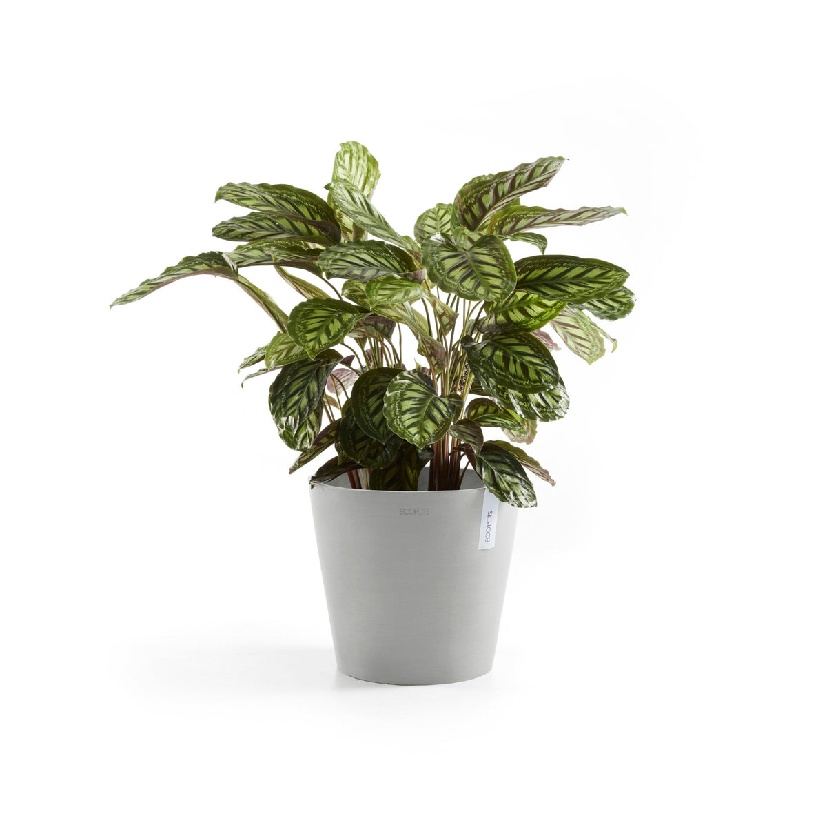 Lillepott Amsterdam 30cm valgehall veereservuaariga
