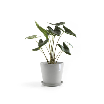 Lillepott Amsterdam 30cm valgehall veereservuaariga