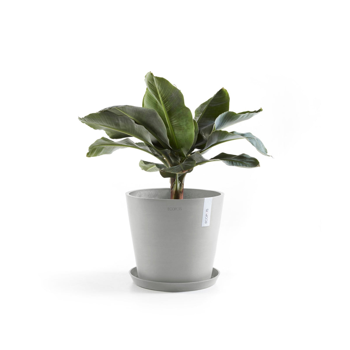 Lillepott Amsterdam 30cm valgehall veereservuaariga