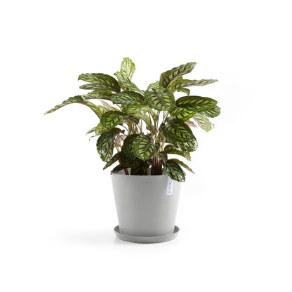 Lillepott Amsterdam 30cm valgehall veereservuaariga