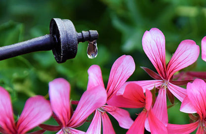 Hose 30m for automatic watering system 