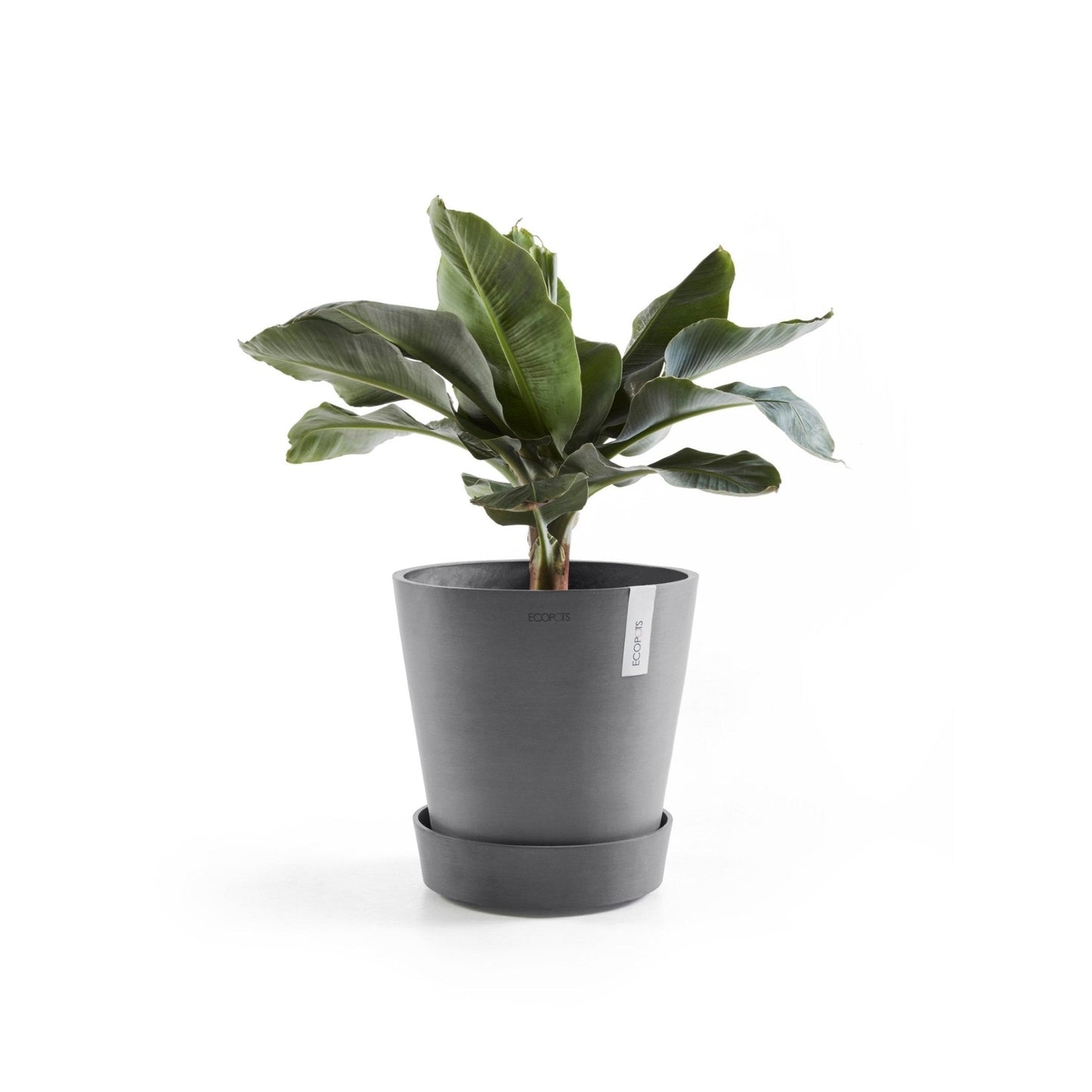 Kukkaruukku - Ecopots - Aluslautanen Amsterdam pyörillä 30cm harmaa - Ecopots - Uuden aikakauden kukkaruukku kierrätysmateriaalista