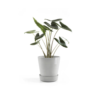 Kukkaruukku - Ecopots - Aluslautanen Amsterdam pyörillä 30cm valkoharmaa - Ecopots - Uuden aikakauden kukkaruukku kierrätysmateriaalista
