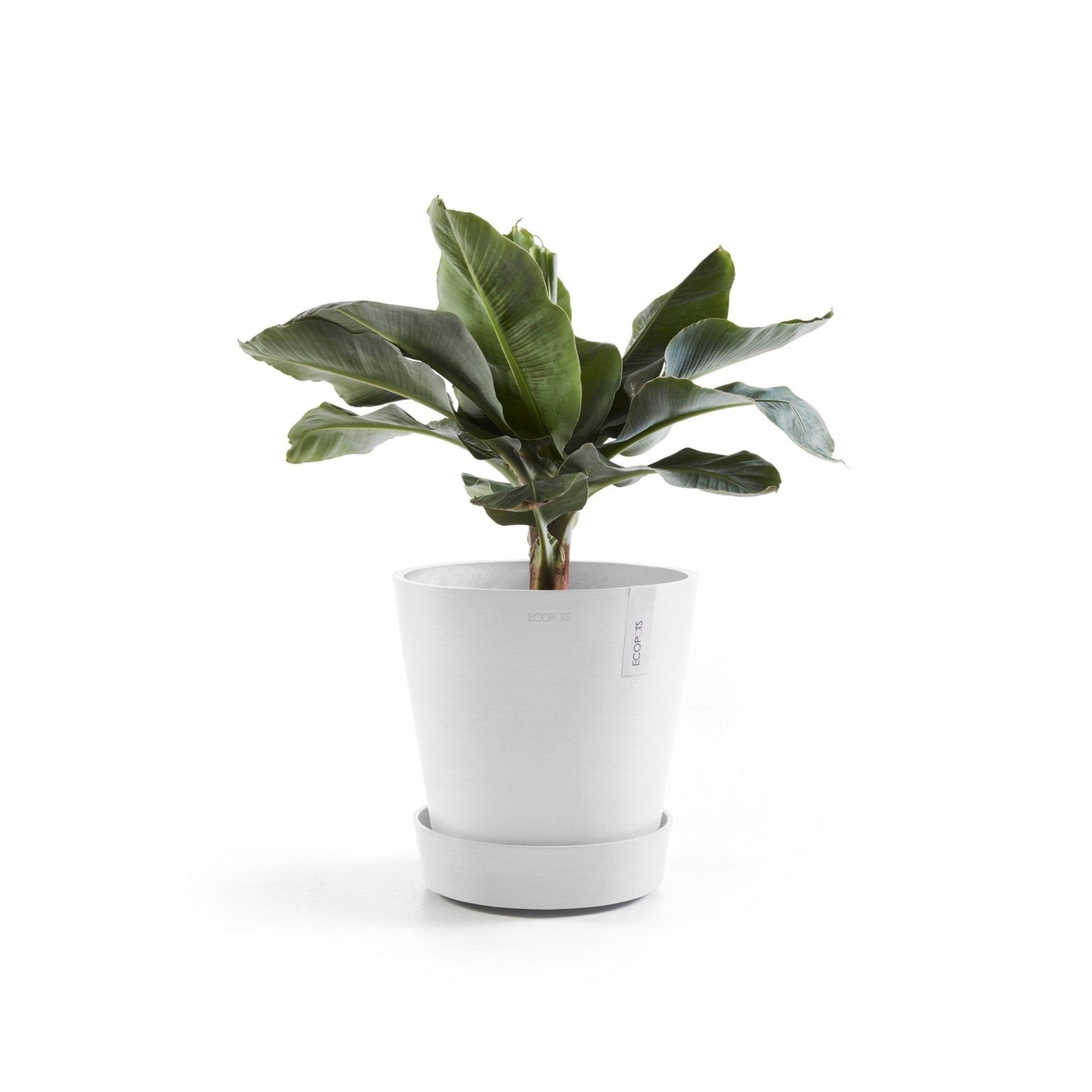 Kukkaruukku - Ecopots - Aluslautanen Amsterdam pyörillä 50cm valkoinen - Ecopots - Uuden aikakauden kukkaruukku kierrätysmateriaalista