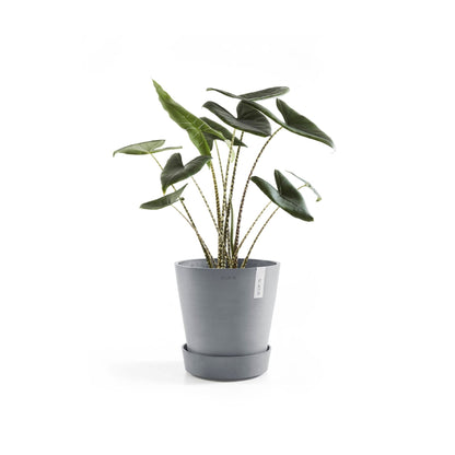 Kukkaruukku - Ecopots - Aluslautanen Amsterdam pyörillä 60cm siniharmaa - Ecopots - Uuden aikakauden kukkaruukku kierrätysmateriaalista