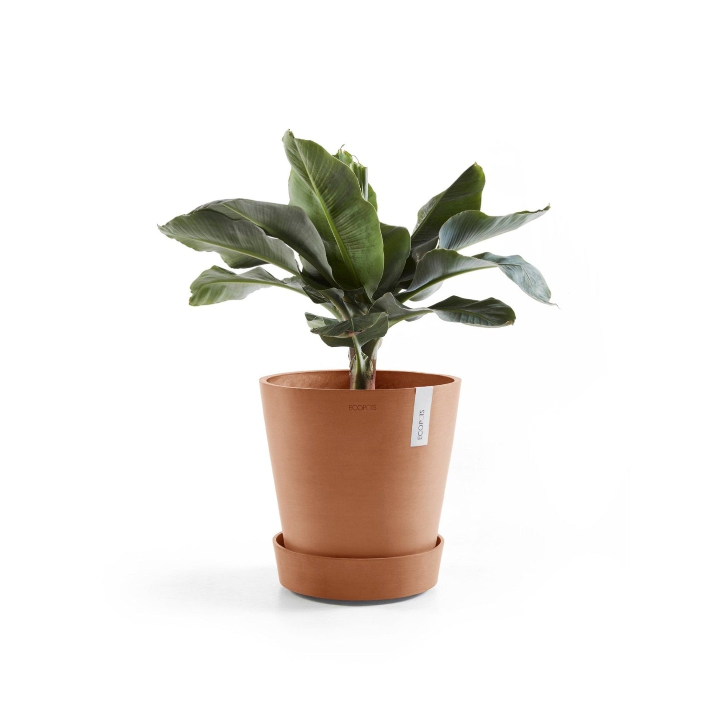 Kukkaruukku - Ecopots - Aluslautanen Amsterdam pyörillä 60cm terracotta - Ecopots - Uuden aikakauden kukkaruukku kierrätysmateriaalista