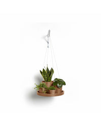 Aluslautanen ripustettava 36cm terracotta