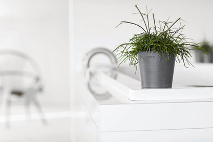 Kukkaruukku - Ecopots - Amsterdam 10,5cm harmaa - Ecopotskauppa - Uuden aikakauden kukkaruukku