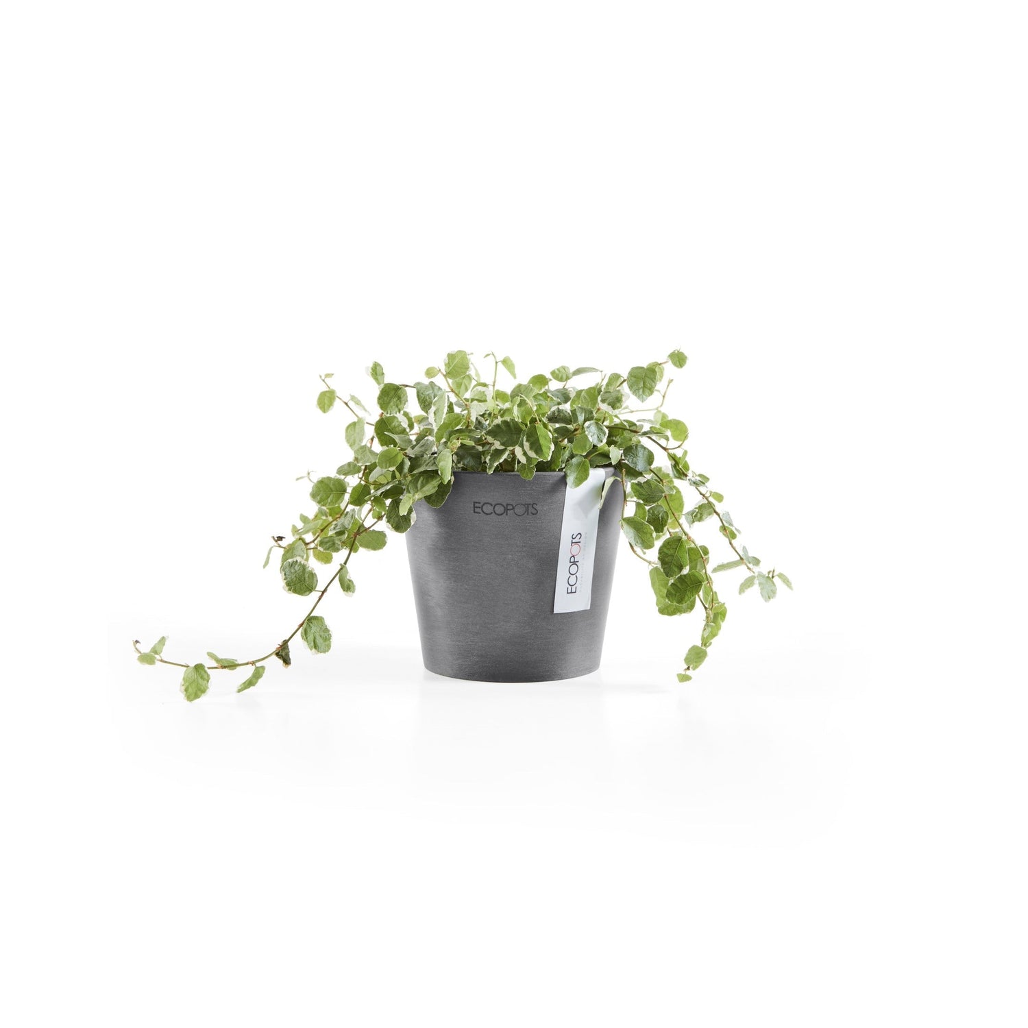 Kukkaruukku - Ecopots - Amsterdam 10,5cm harmaa - Ecopotskauppa - Uuden aikakauden kukkaruukku