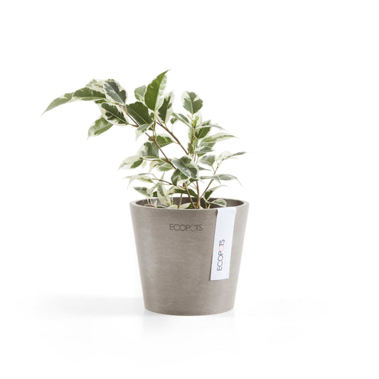 Kukkaruukku - Ecopots - Amsterdam 10,5cm taupe - Ecopotskauppa - Uuden aikakauden kukkaruukku