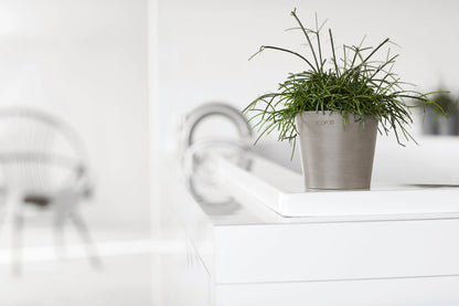 Kukkaruukku - Ecopots - Amsterdam 10,5cm taupe - Ecopotskauppa - Uuden aikakauden kukkaruukku
