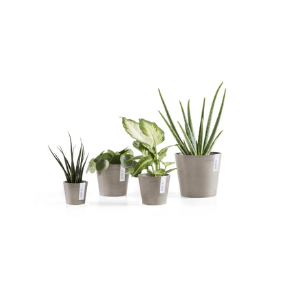 Kukkaruukku - Ecopots - Amsterdam 10,5cm taupe - Ecopotskauppa - Uuden aikakauden kukkaruukku