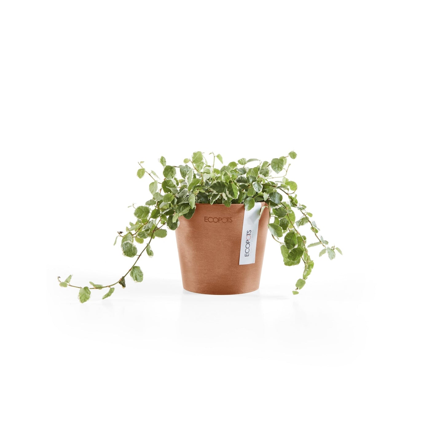 Kukkaruukku - Ecopots - Amsterdam 10,5cm terracotta - Ecopotskauppa - Uuden aikakauden kukkaruukku