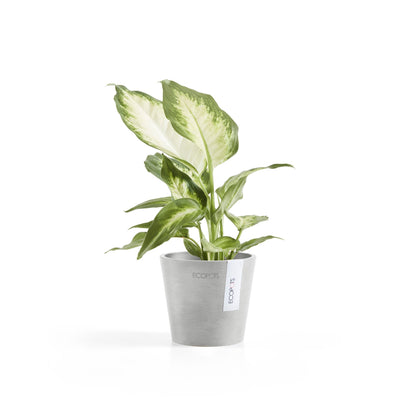 Kukkaruukku - Ecopots - Amsterdam 10,5cm valkoharmaa - Ecopotskauppa - Uuden aikakauden kukkaruukku