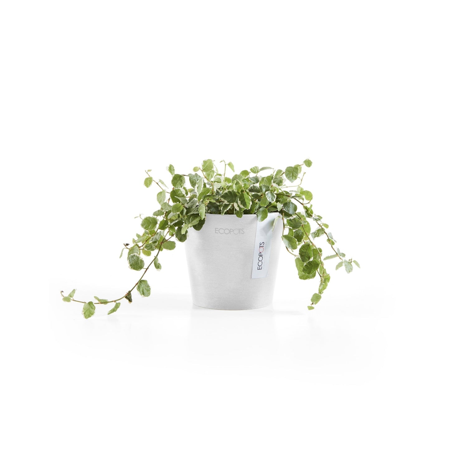 Kukkaruukku - Ecopots - Amsterdam 10,5cm valkoinen - Ecopotskauppa - Uuden aikakauden kukkaruukku