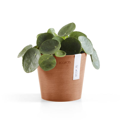 Kukkaruukku - Ecopots - Amsterdam 13cm terracotta - Ecopotskauppa - Uuden aikakauden kukkaruukku