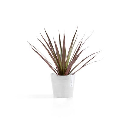 Kukkaruukku - Ecopots - Amsterdam 13cm valkoinen - Ecopotskauppa - Uuden aikakauden kukkaruukku