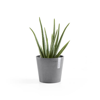 Kukkaruukku - Ecopots - Amsterdam 17cm harmaa - Ecopotskauppa - Uuden aikakauden kukkaruukku