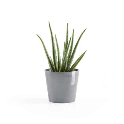 Kukkaruukku - Ecopots - Amsterdam 17cm siniharmaa - Ecopotskauppa - Uuden aikakauden kukkaruukku
