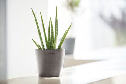 Kukkaruukku - Ecopots - Amsterdam 17cm taupe - Ecopotskauppa - Uuden aikakauden kukkaruukku