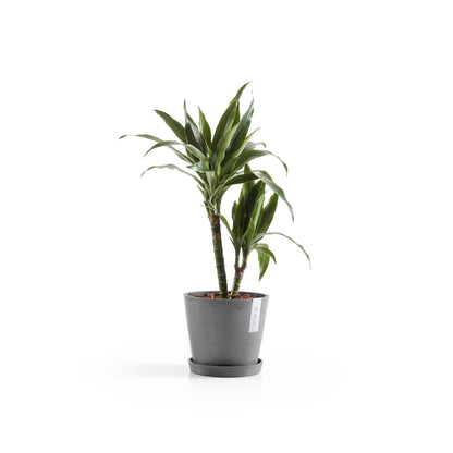 Kukkaruukku - Ecopots - Amsterdam 20cm harmaa - Ecopotskauppa - Uuden aikakauden kukkaruukku