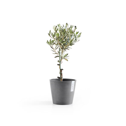 Kukkaruukku - Ecopots - Amsterdam 20cm harmaa - Ecopotskauppa - Uuden aikakauden kukkaruukku