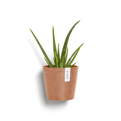 Kukkaruukku - Ecopots - Amsterdam 20cm seinäruukku terracotta - Ecopotskauppa - Uuden aikakauden kukkaruukku