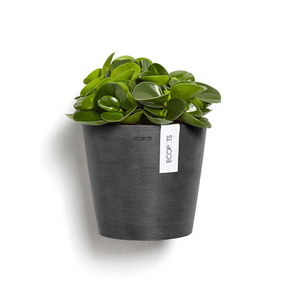 Kukkaruukku - Ecopots - Amsterdam 20cm seinäruukku tummanharmaa - Ecopotskauppa - Uuden aikakauden kukkaruukku