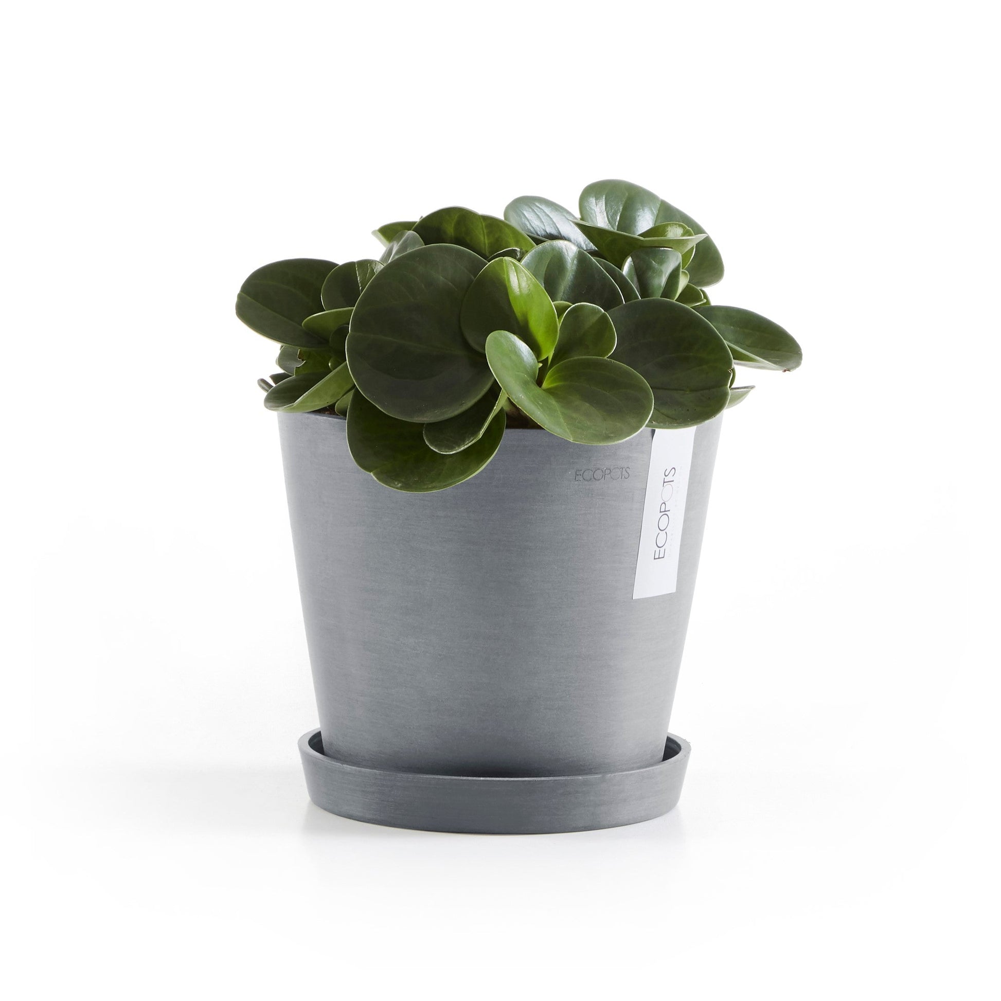 Kukkaruukku - Ecopots - Amsterdam 20cm siniharmaa - Ecopotskauppa - Uuden aikakauden kukkaruukku