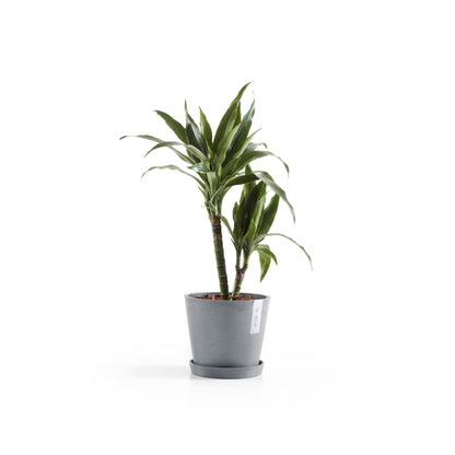 Kukkaruukku - Ecopots - Amsterdam 20cm siniharmaa - Ecopotskauppa - Uuden aikakauden kukkaruukku