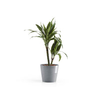 Kukkaruukku Amsterdam 20cm siniharmaa