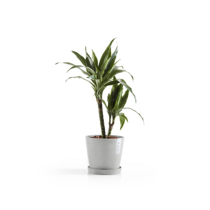 Kukkaruukku - Ecopots - Amsterdam 20cm valkoharmaa - Ecopotskauppa - Uuden aikakauden kukkaruukku