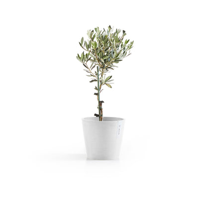Kukkaruukku - Ecopots - Amsterdam 20cm valkoinen - Ecopotskauppa - Uuden aikakauden kukkaruukku