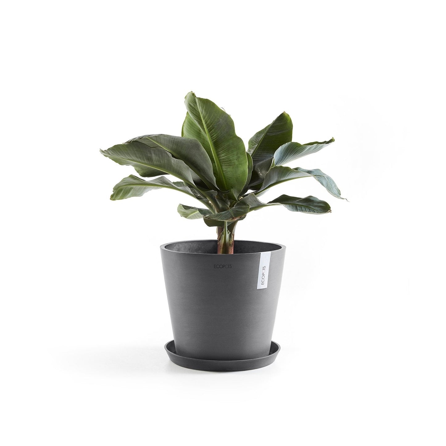 Kukkaruukku - Ecopots - Amsterdam 25cm harmaa - Ecopotskauppa - Uuden aikakauden kukkaruukku