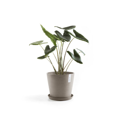 Kukkaruukku - Ecopots - Amsterdam 25cm taupe - Ecopotskauppa - Uuden aikakauden kukkaruukku