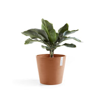 Lillepott Amsterdam 25cm terrakota